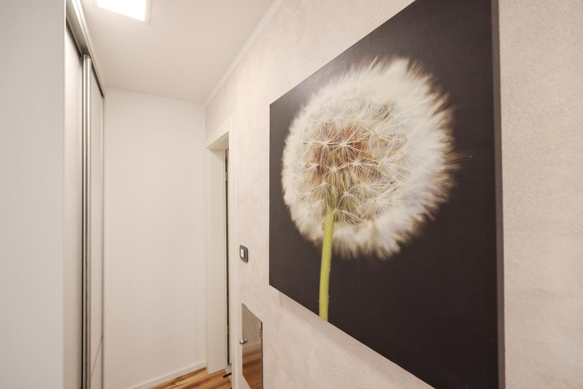 Apartment Anita Zadar Buitenkant foto